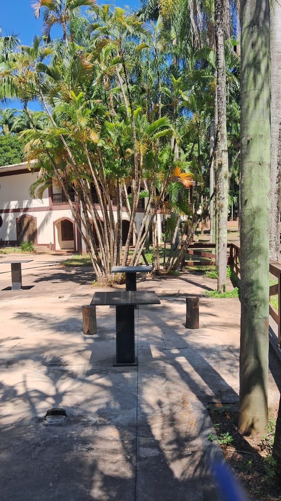 WhatsApp Image 2026-04-15 at 08.47.10.jpeg