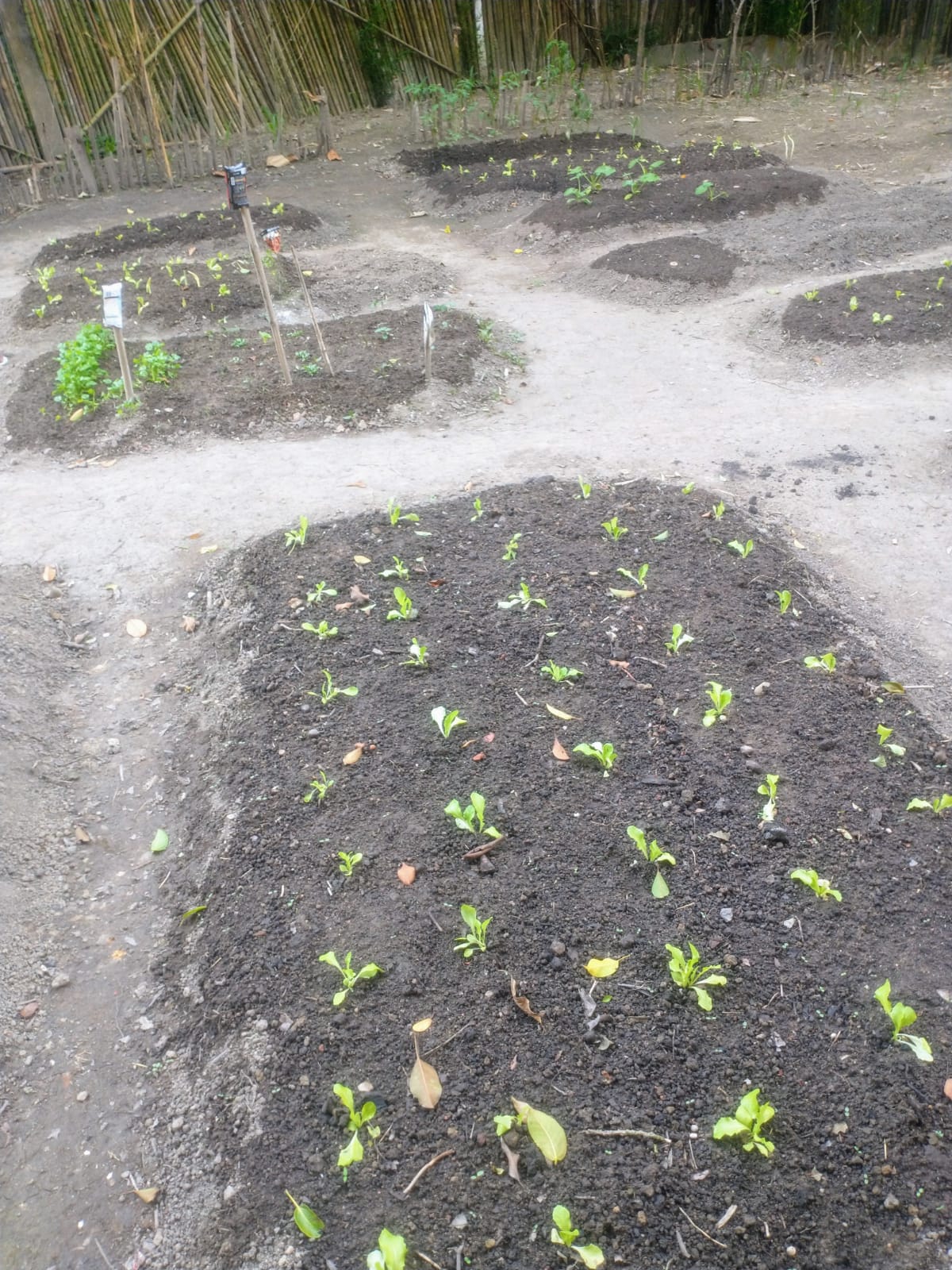 WhatsApp Image 2026-04-07 at 17.43.16.jpeg