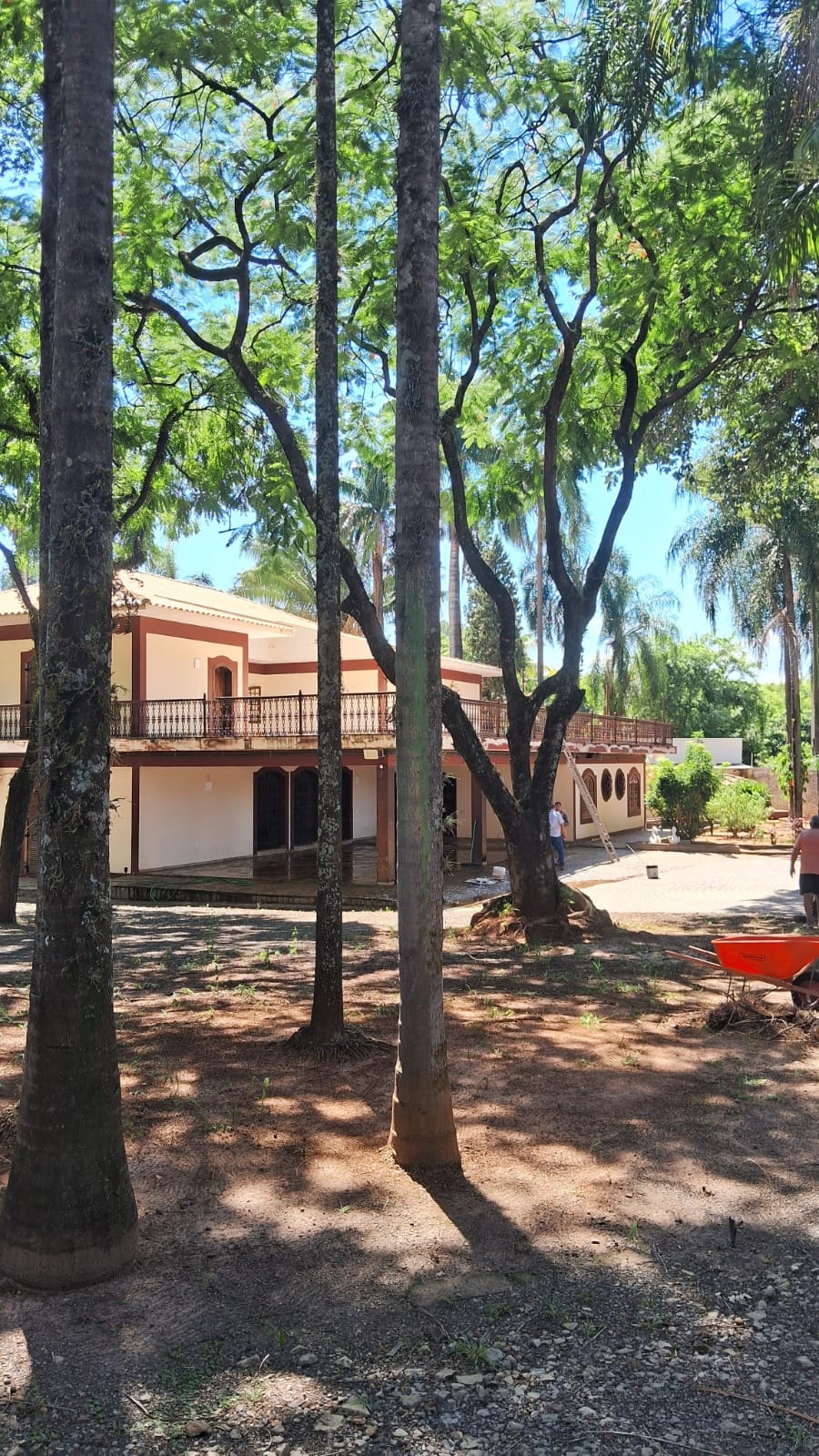 WhatsApp Image 2026-04-15 at 08.47.03.jpeg